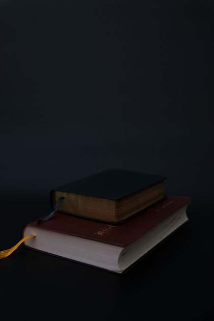 Meet Our Talented Authors